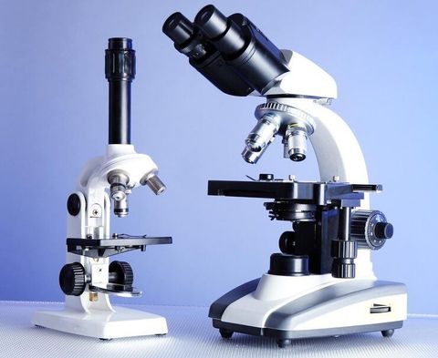 Modern Microscopes: Types, Technology and Applications